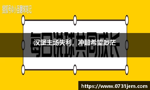 汉堡主场失利，冲超希望渺茫